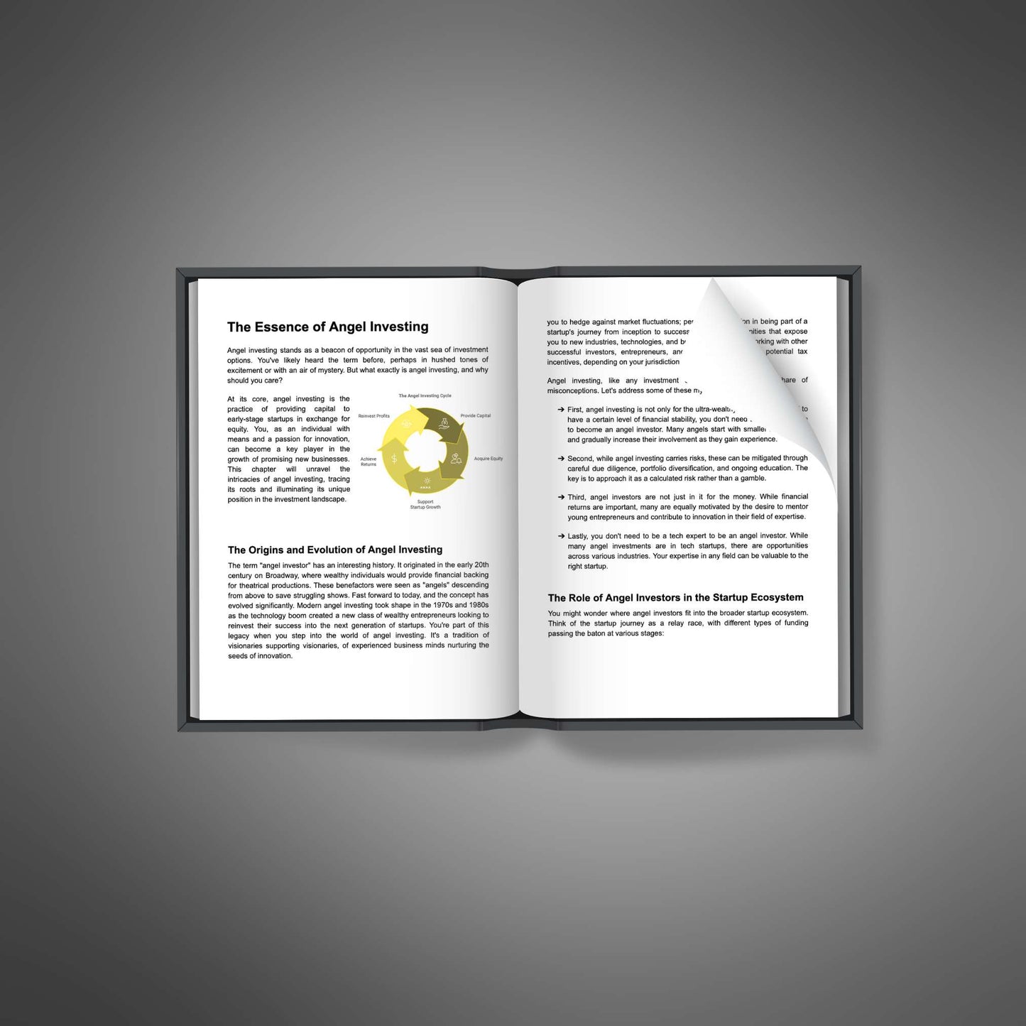 Angel Investing - Ebook - EXPLAINED Bundle