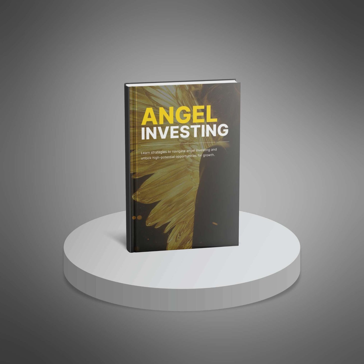 Angel Investing - Ebook - EXPLAINED Bundle