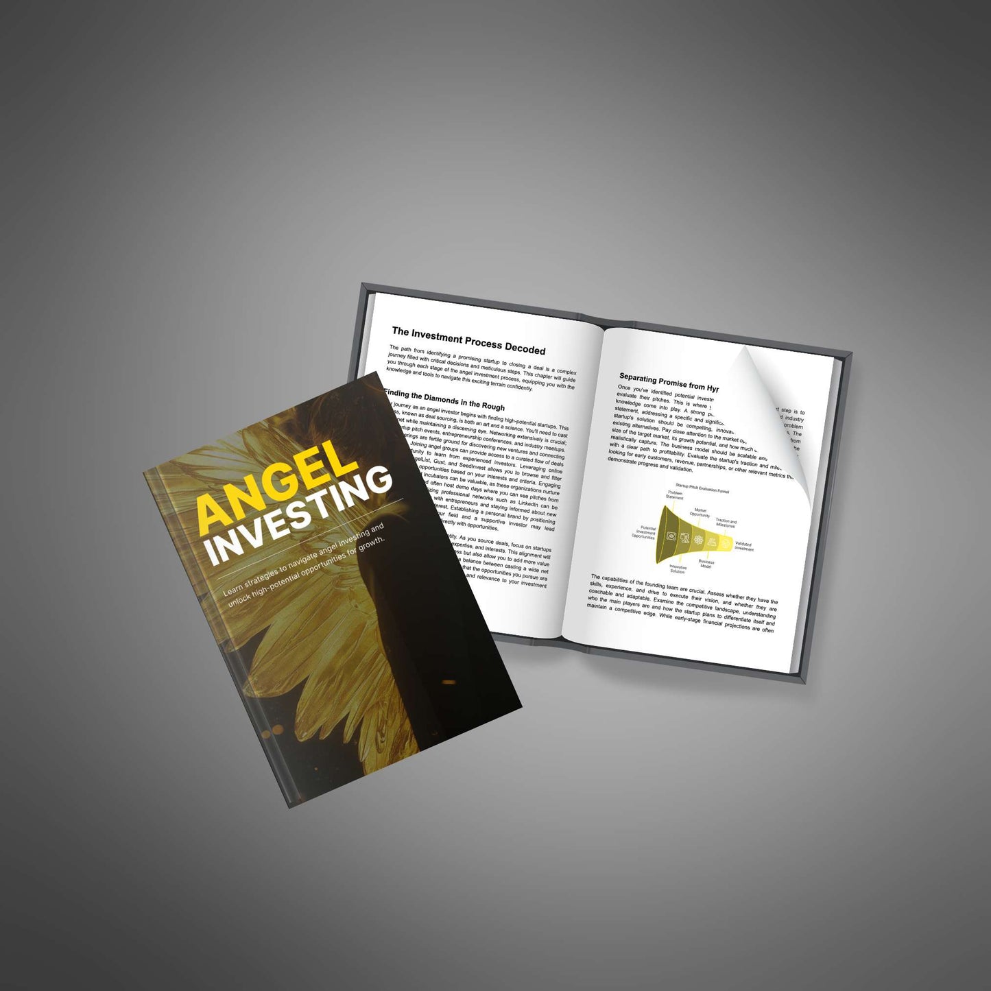 Angel Investing - Ebook - EXPLAINED Bundle