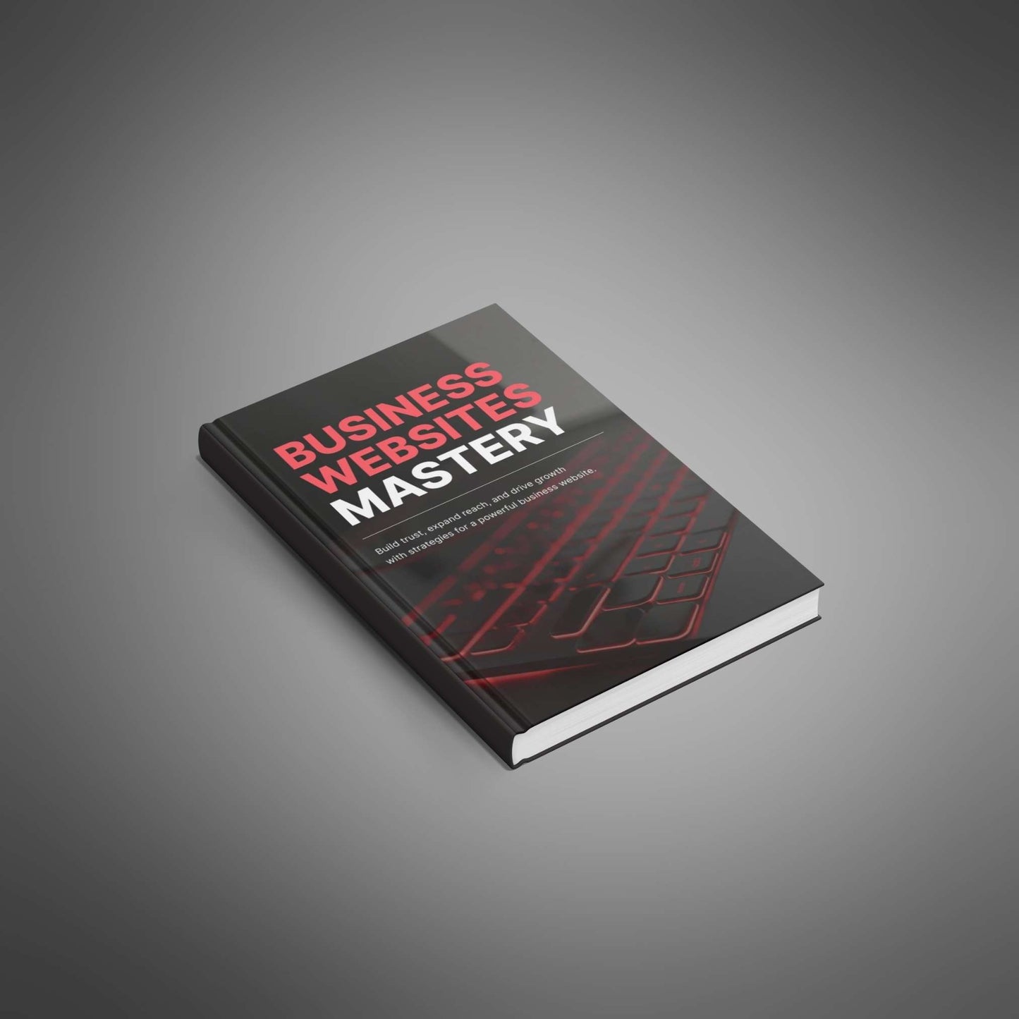 Business Websites Mastery - Ebook - EXPLAIND Bundle
