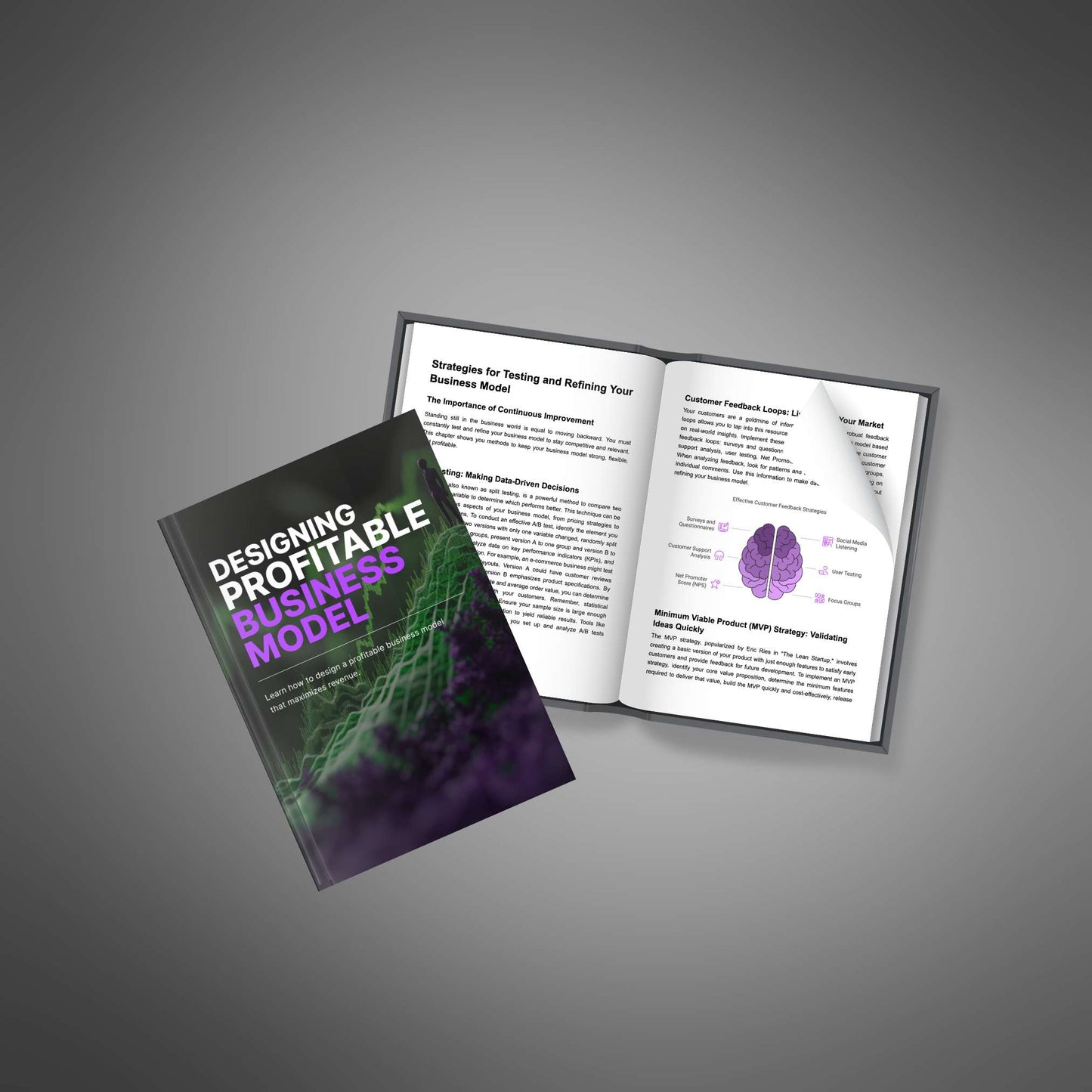 Designing a Profitable Business Model - Ebook - EXPLAINED Bundle