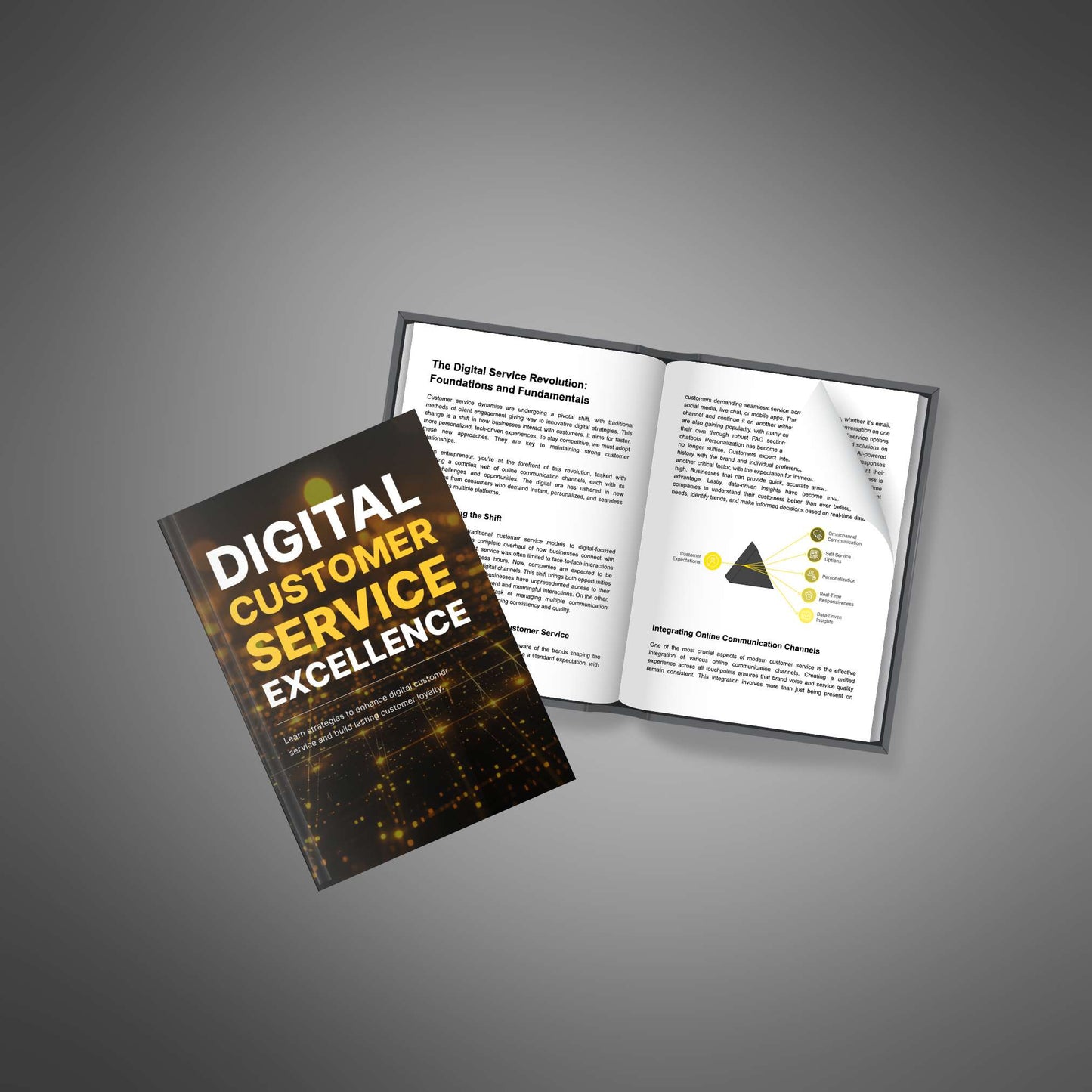 Digital Customer Service Excellence - Ebook - EXPLAINED Bundle